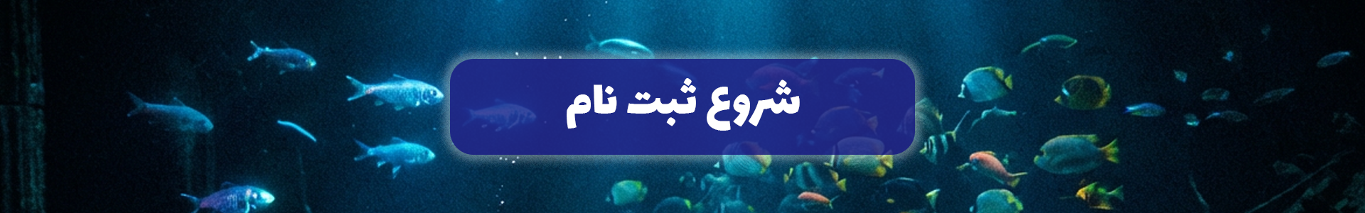 https://seadreamdivers.ir/%D8%A2%D9%85%D9%88%D8%B2%D8%B4-%D8%BA%D9%88%D8%A7%D8%B5%DB%8C