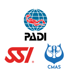 مربیان دارای مدارک بین المللی