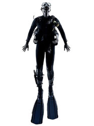 آموزش عملی در آب های آزاد